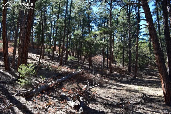 $65,000 | 0 Ponderosa Trail, Trinidad, CO 81082