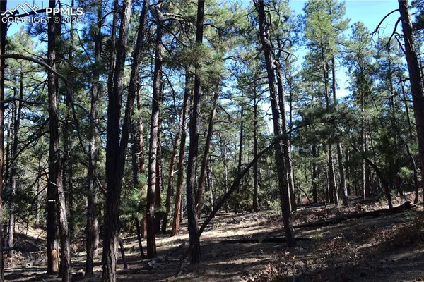 $65,000 | 0 Ponderosa Trail, Trinidad, CO 81082