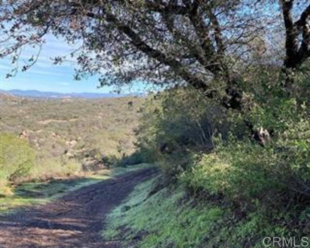 0 Muth Valley Road Lakeside, CA 92040 - Photo 16 of 30 a view of a yard with lots of trees