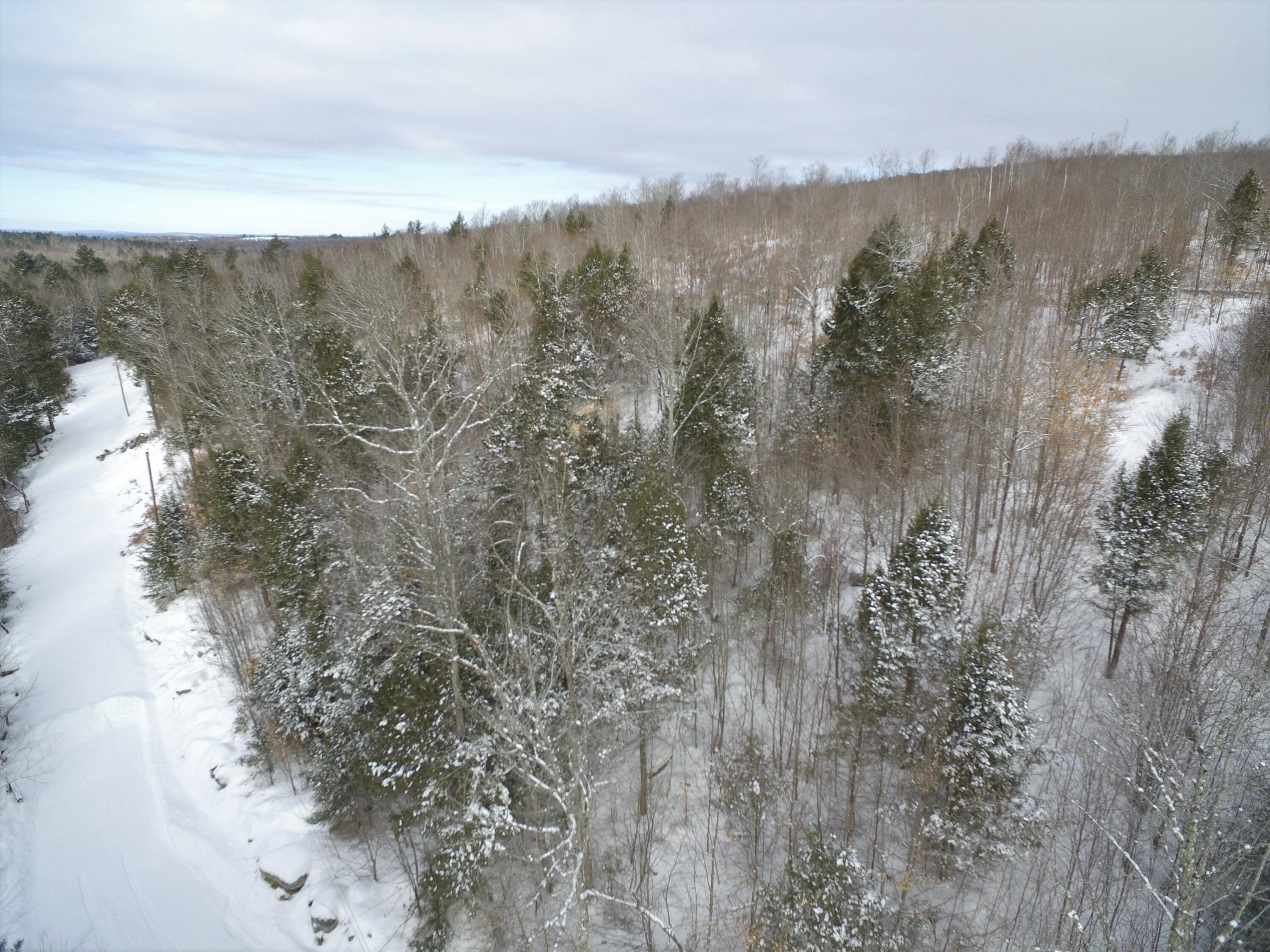 37.41 Acres Houston Road Lincoln, ME 04457 - Photo 16 of 29 DJI_0127