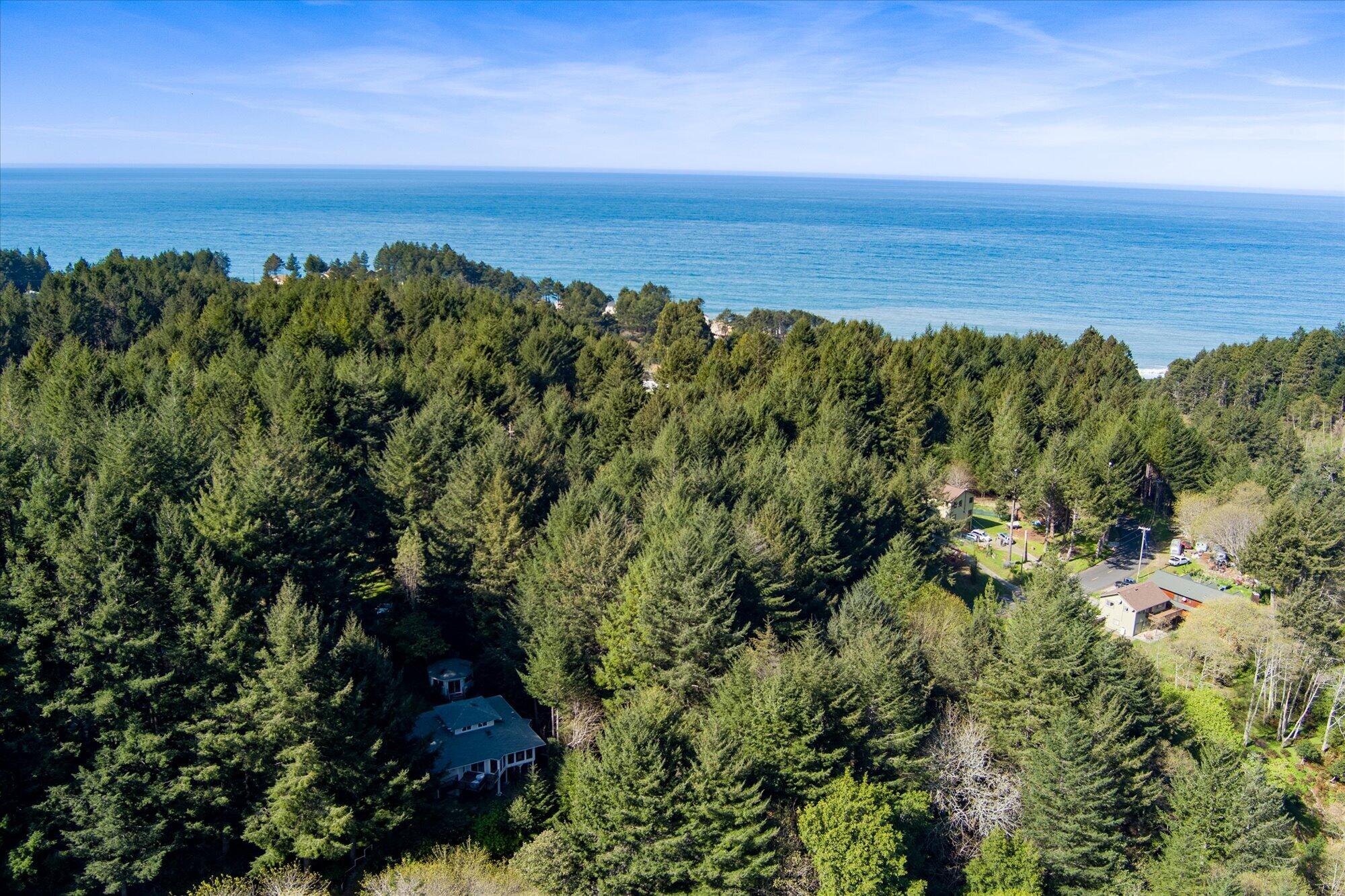 472 Beach Road Shelter Cove, CA 95589 - Photo 3 of 49