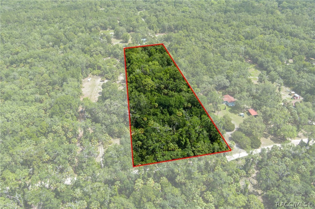 15085 West Rooster Crows Road Inglis, FL 34449 - Photo 5 of 16
