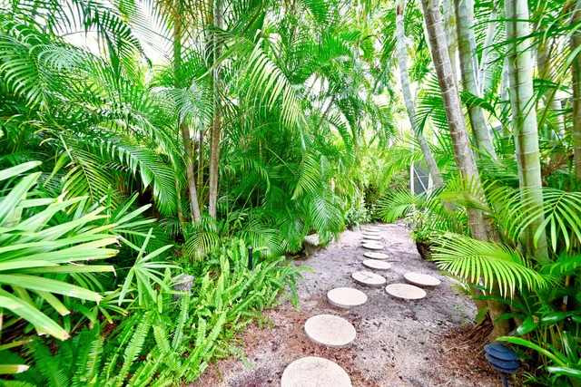 a view of an outdoor space with plants