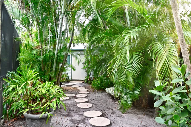 a view of a backyard with plants and chairs