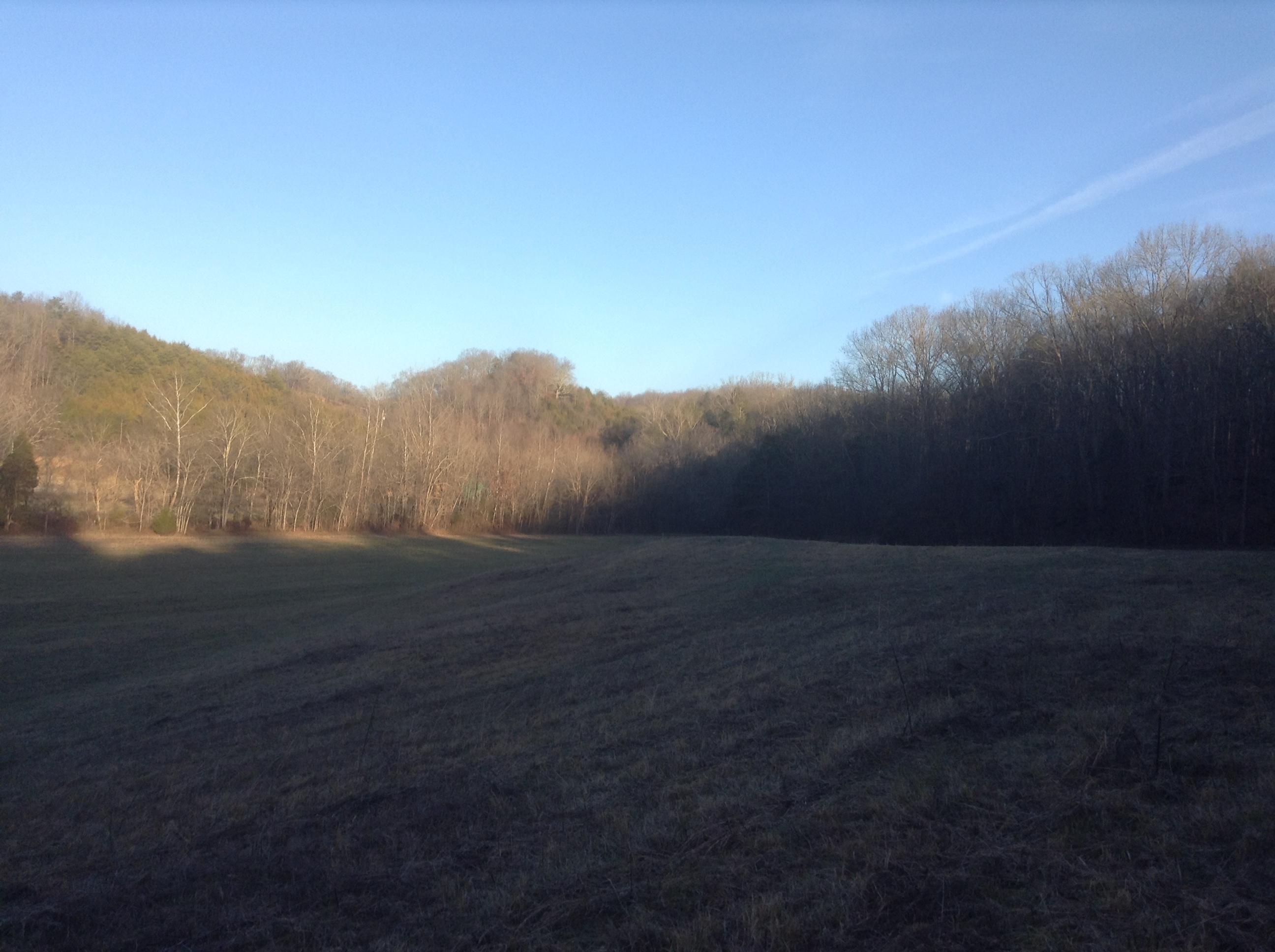 0 Keisling Road Newport, TN 37821 - Photo 14 of 40 TN Creek Front Property (17)