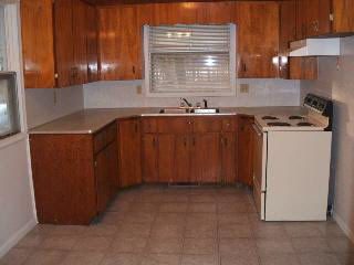 5667 Summerfield Road Petersburg, MI 49270 - Photo 5 of 6 KITCHEN
