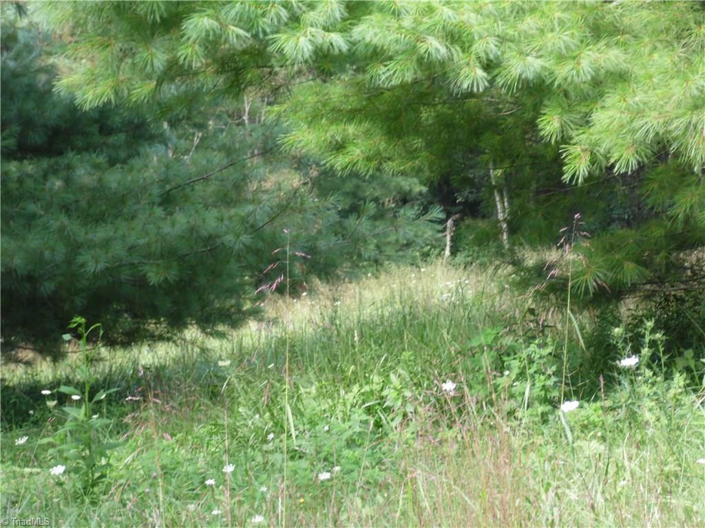 Lot #12 Ridgeline Way Sparta, NC 28675 - Photo 11 of 14 Gallery Image 11
