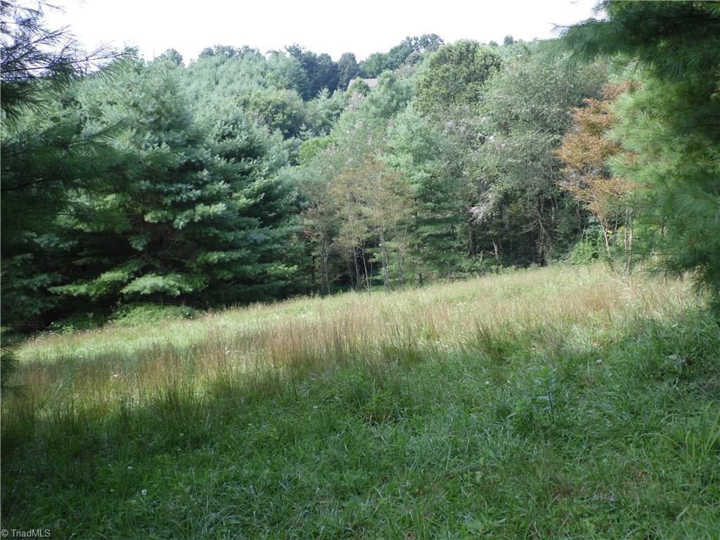 Lot #12 Ridgeline Way Sparta, NC 28675 - Photo 12 of 14 Gallery Image 12