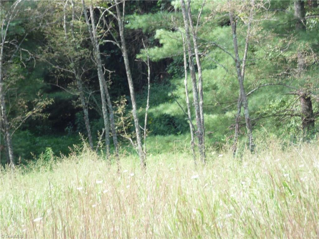 Lot #12 Ridgeline Way Sparta, NC 28675 - Photo 13 of 14 Gallery Image 13