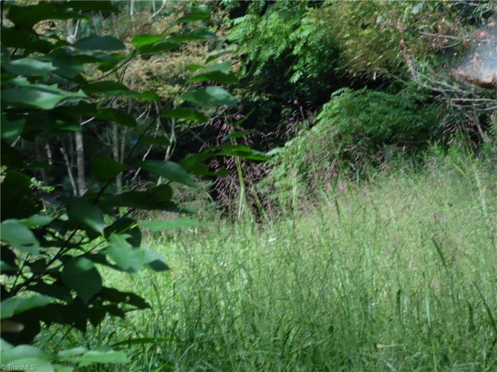 Lot #12 Ridgeline Way Sparta, NC 28675 - Photo 14 of 14 Gallery Image 14