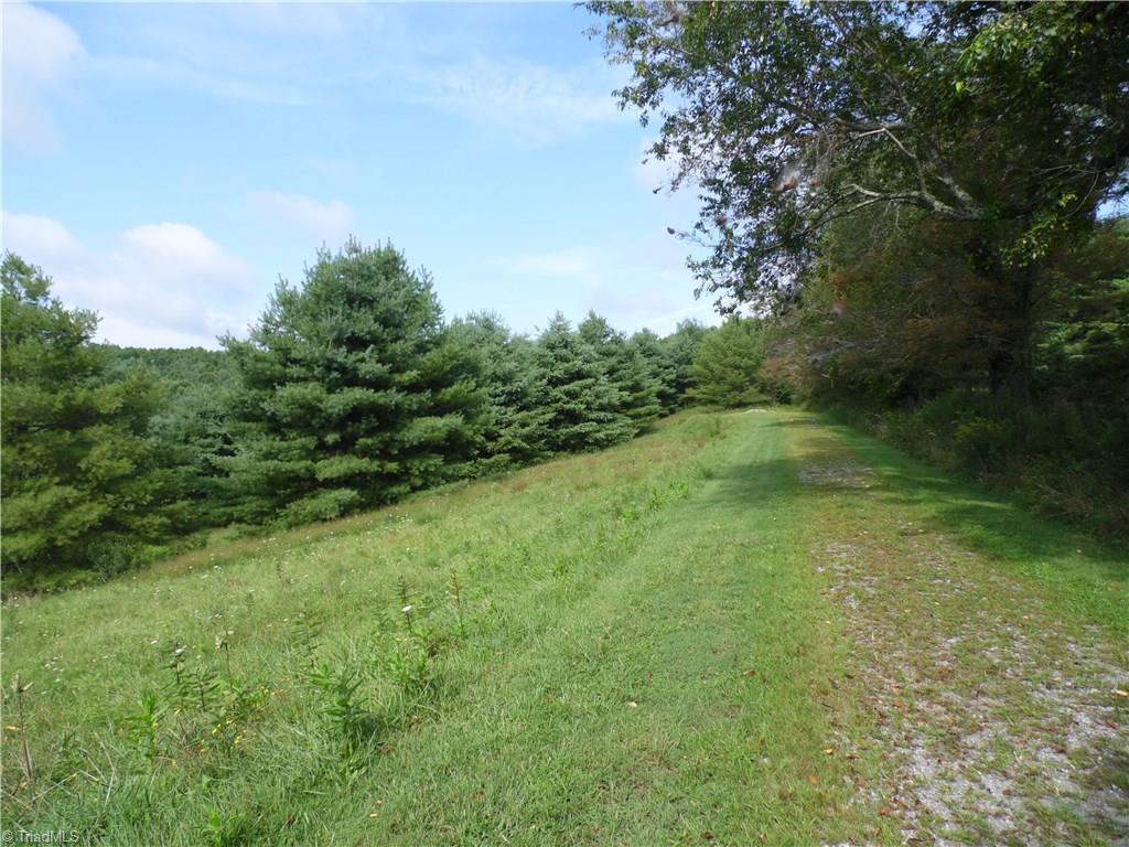 Lot #12 Ridgeline Way Sparta, NC 28675 - Photo 3 of 14 Gallery Image 3