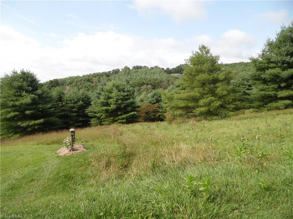 Lot #12 Ridgeline Way Sparta, NC 28675 - Photo 4 of 14 Gallery Image 4