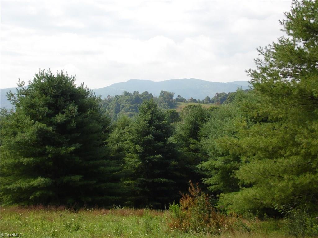 Lot #12 Ridgeline Way Sparta, NC 28675 - Photo 5 of 14 Gallery Image 5