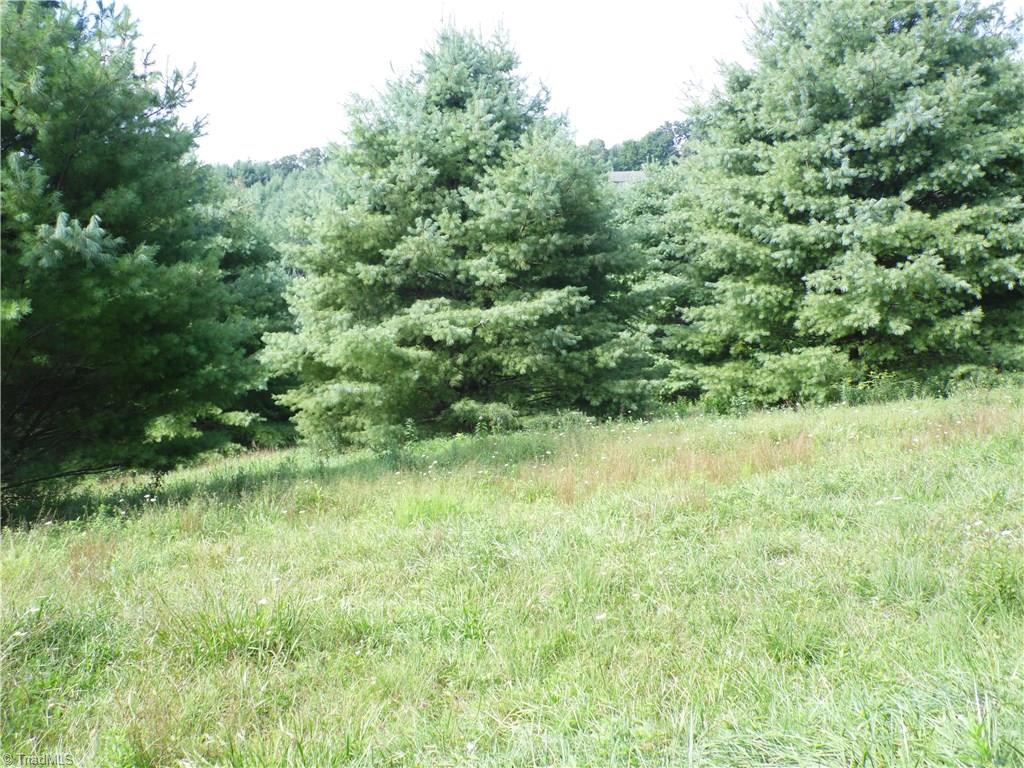 Lot #12 Ridgeline Way Sparta, NC 28675 - Photo 6 of 14 Gallery Image 6