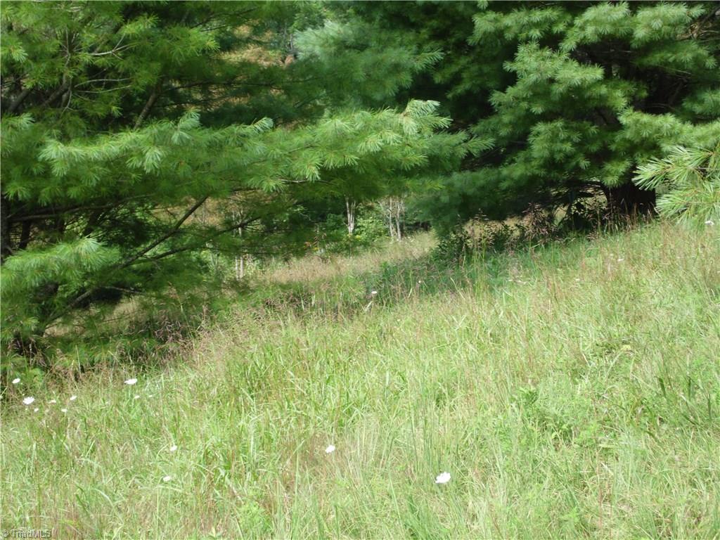 Lot #12 Ridgeline Way Sparta, NC 28675 - Photo 9 of 14 Gallery Image 9