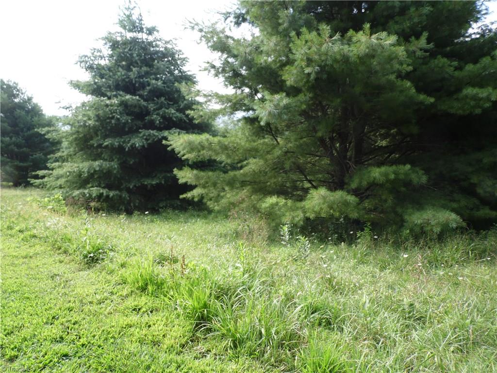 Lot #12 Ridgeline Way Sparta, NC 28675 - Photo 10 of 14 Gallery Image 10