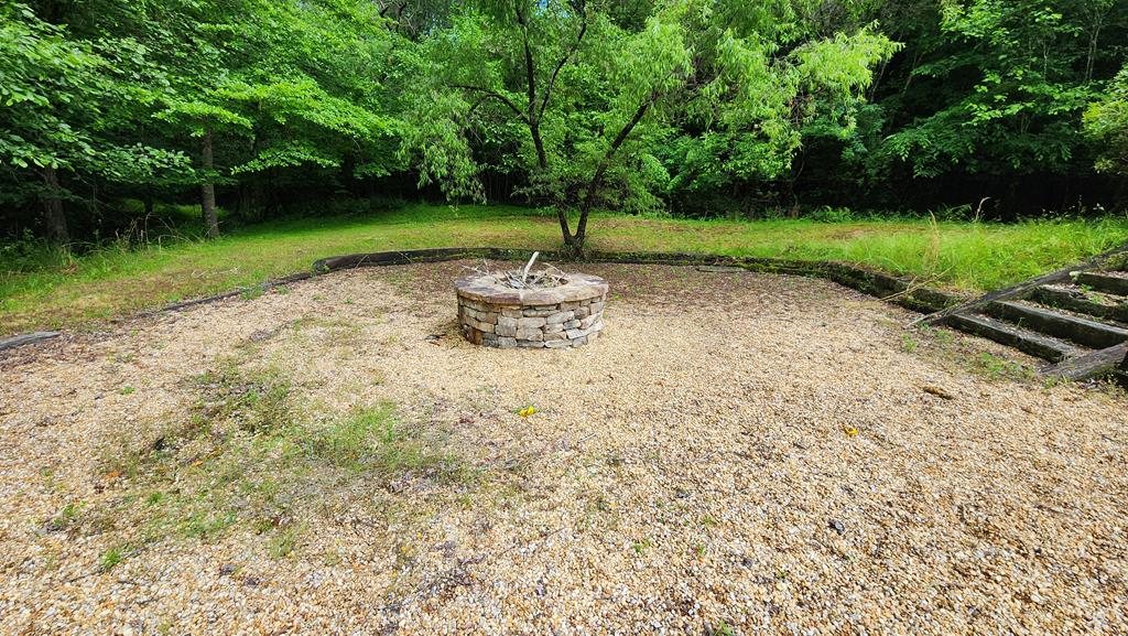 35 Prospect Road Blairsville, GA 30512 - Photo 51 of 51