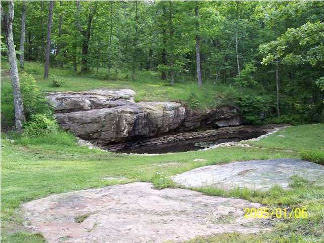 1314 Riggs Road Dayton, TN 37321 - Photo 4 of 36 Additional Photo