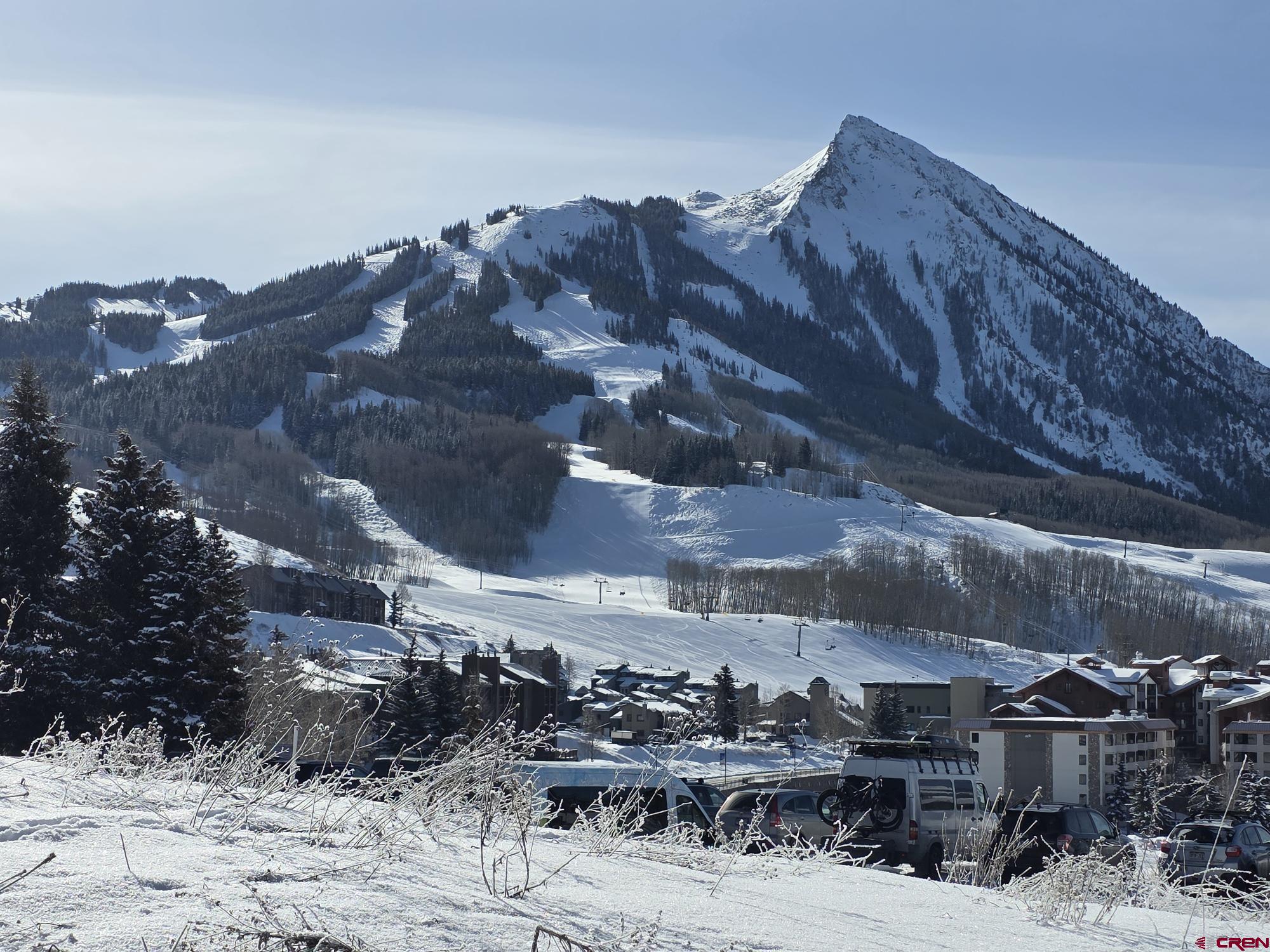 708 Gothic Road Crested Butte, CO 81225 - Photo 4 of 4 a view of a dry yard