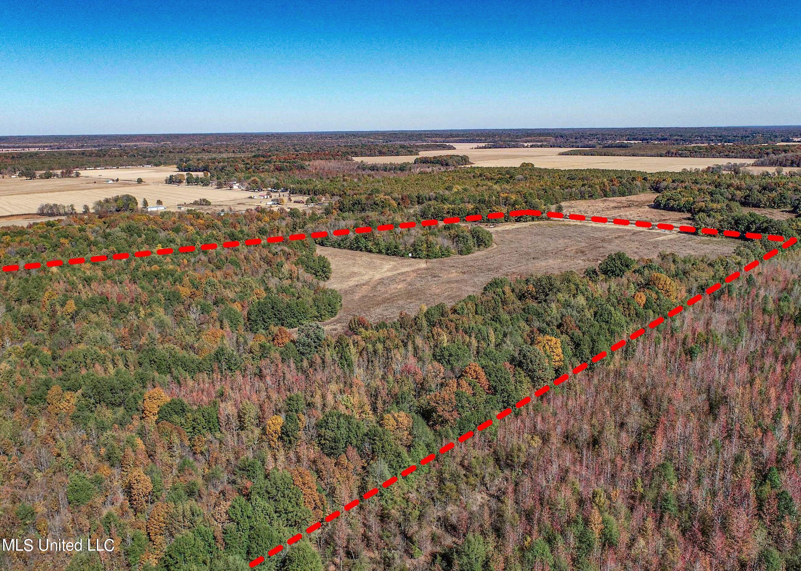 5151 Nash Road Batesville, MS 38606 - Photo 11 of 75 2irvi15B