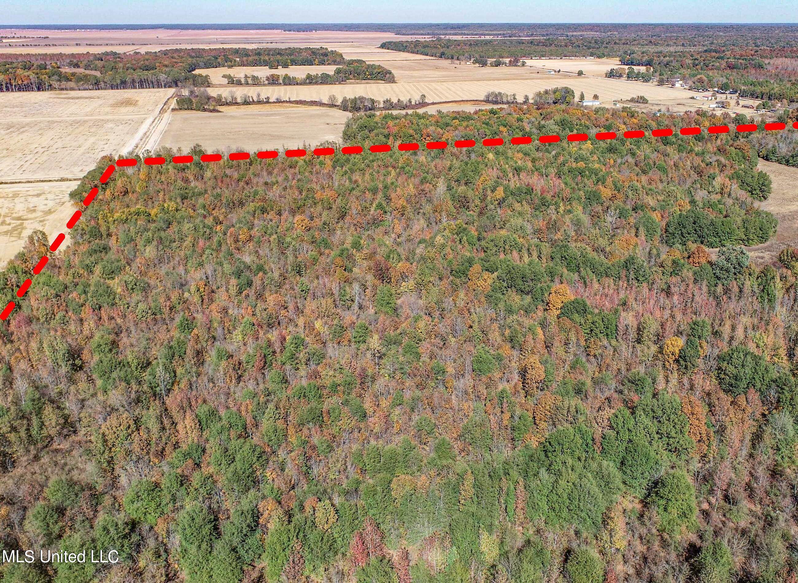 5151 Nash Road Batesville, MS 38606 - Photo 14 of 75 2irvi14a