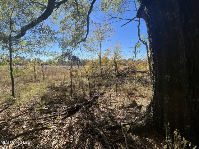 $285,000 | 5177 B Nash Road, Batesville, MS 38606