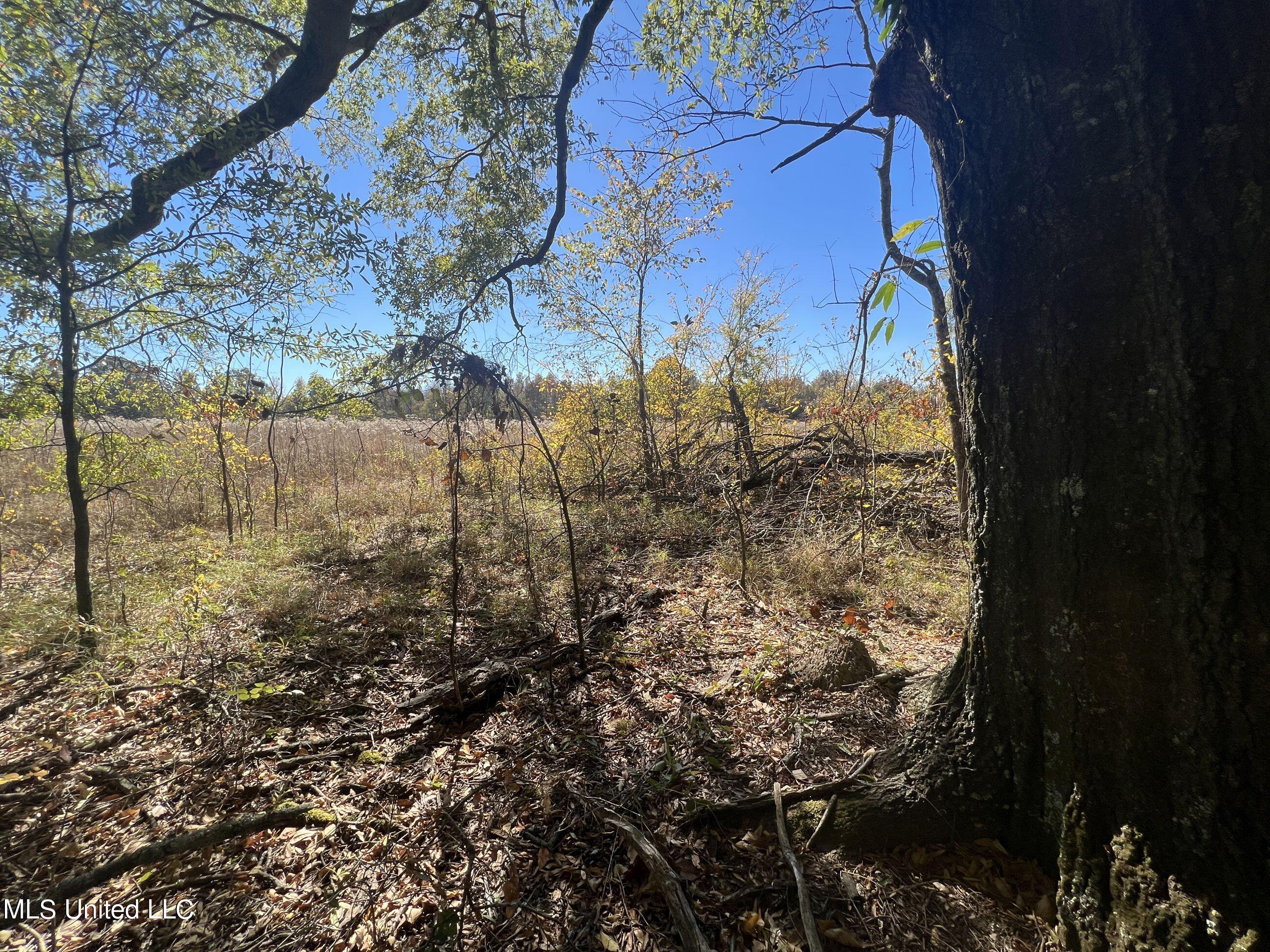 5151 Nash Road Batesville, MS 38606 - Photo 23 of 75 3irvi5