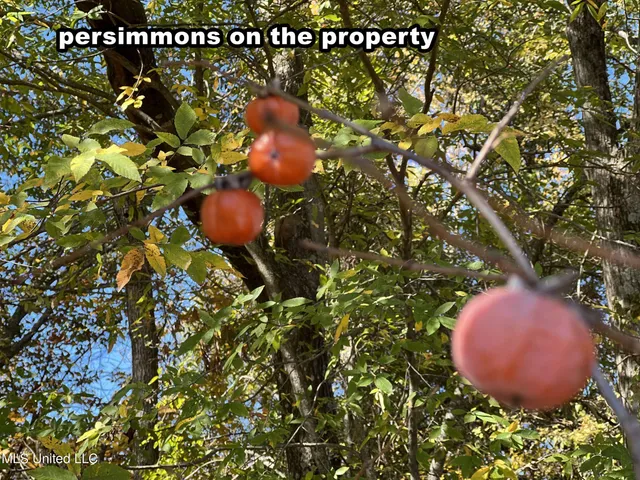 $285,000 | 5177 B Nash Road, Batesville, MS 38606