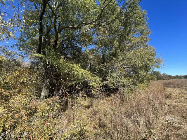 $285,000 | 5177 B Nash Road, Batesville, MS 38606