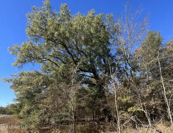 $285,000 | 5151 Nash Road, Batesville, MS 38606