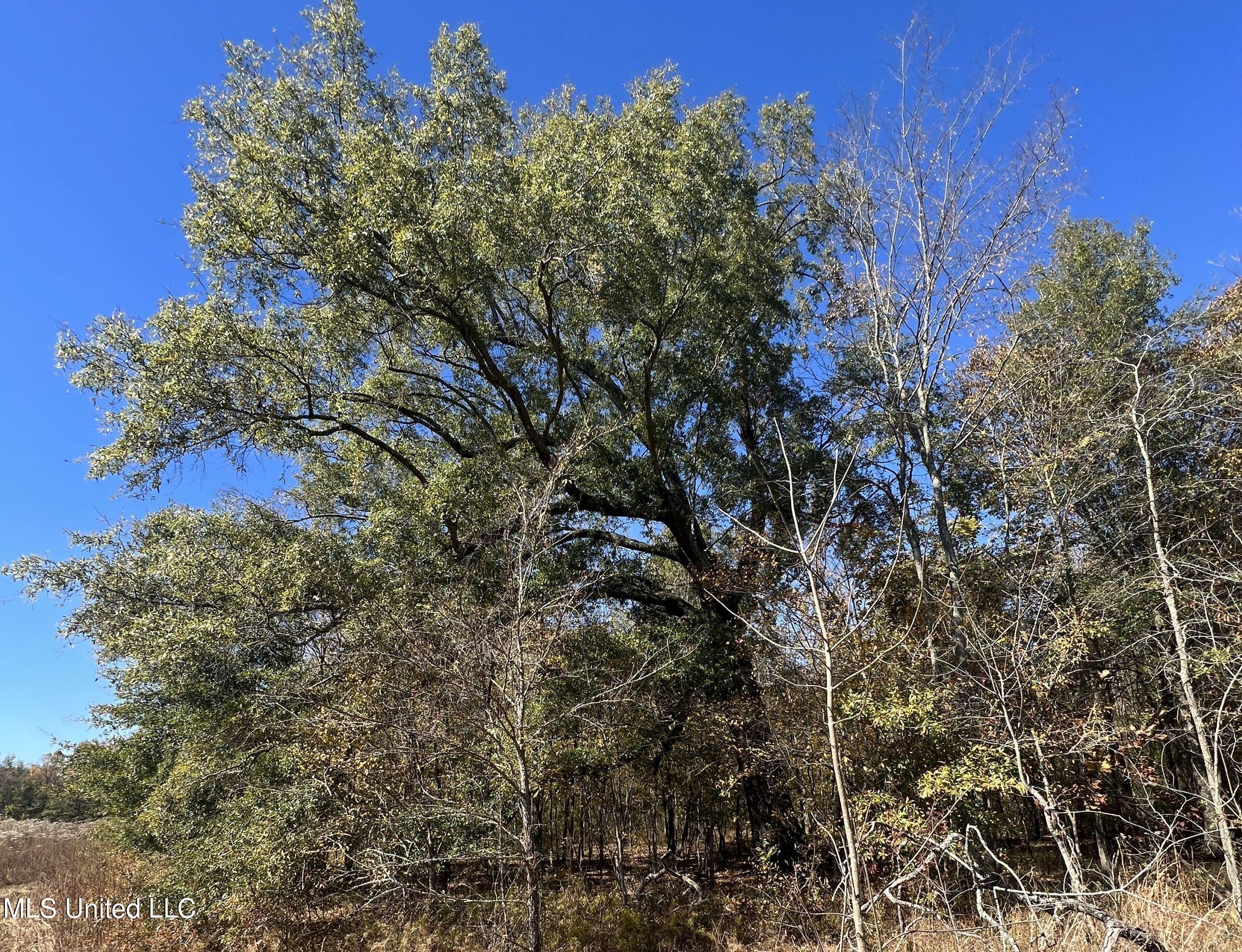 5151 Nash Road Batesville, MS 38606 - Photo 26 of 75 3irvi11