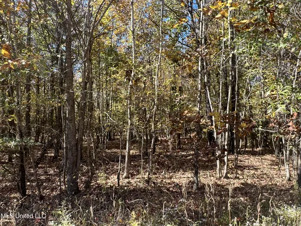 $285,000 | 5151 Nash Road, Batesville, MS 38606