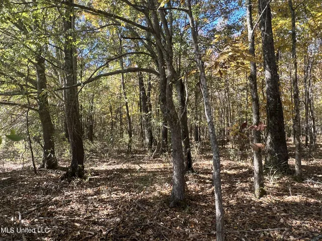 $285,000 | 5177 B Nash Road, Batesville, MS 38606