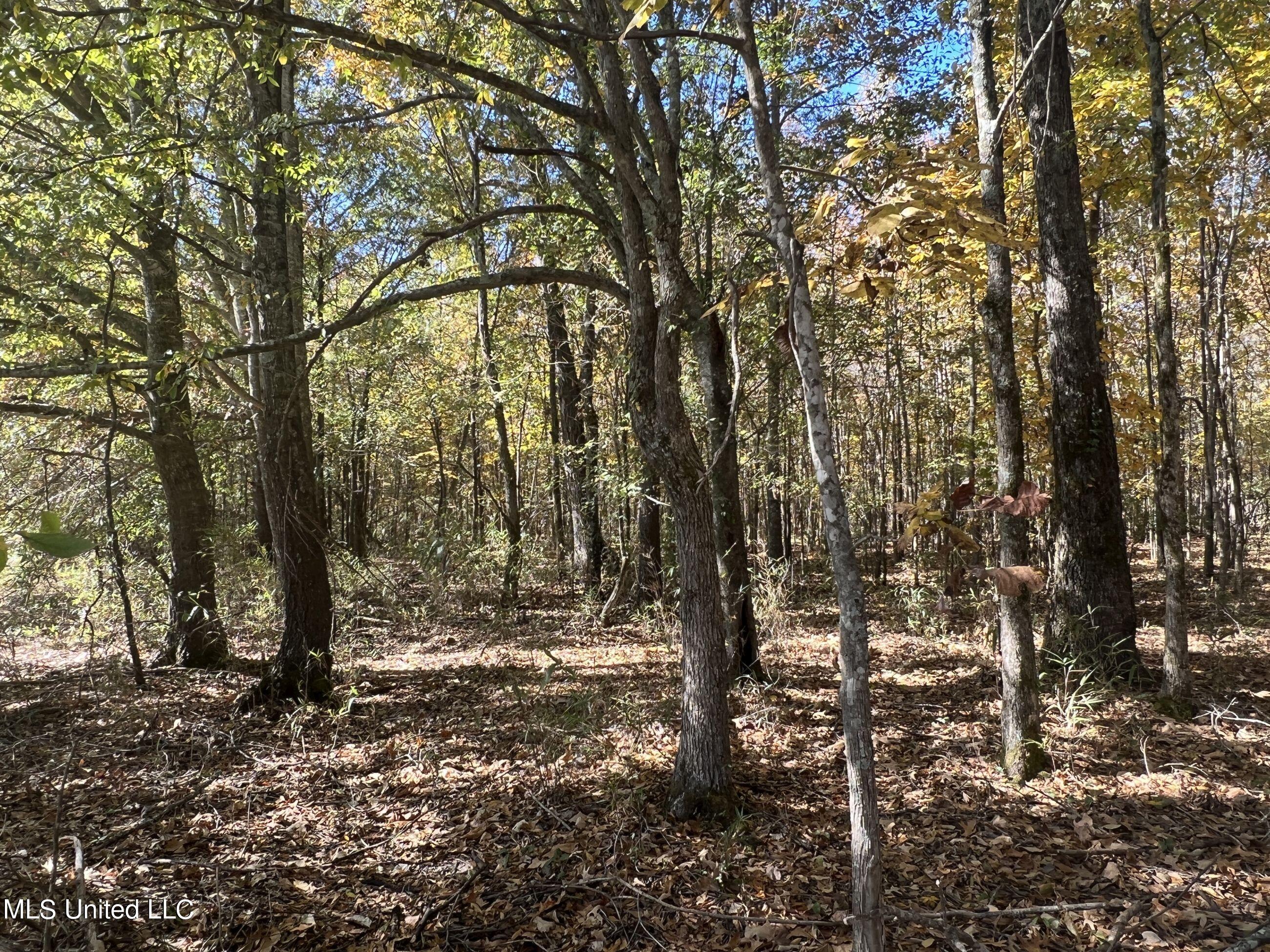 5151 Nash Road Batesville, MS 38606 - Photo 29 of 75 3irvi17