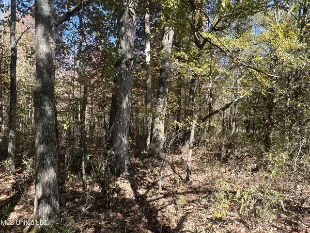 $285,000 | 5177 B Nash Road, Batesville, MS 38606