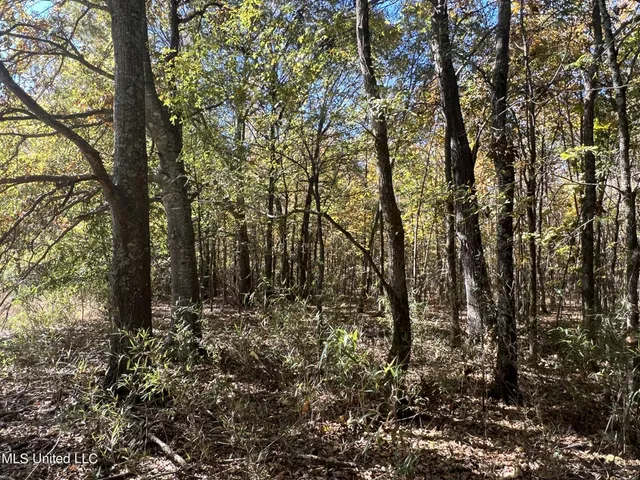 $285,000 | 5177 B Nash Road, Batesville, MS 38606