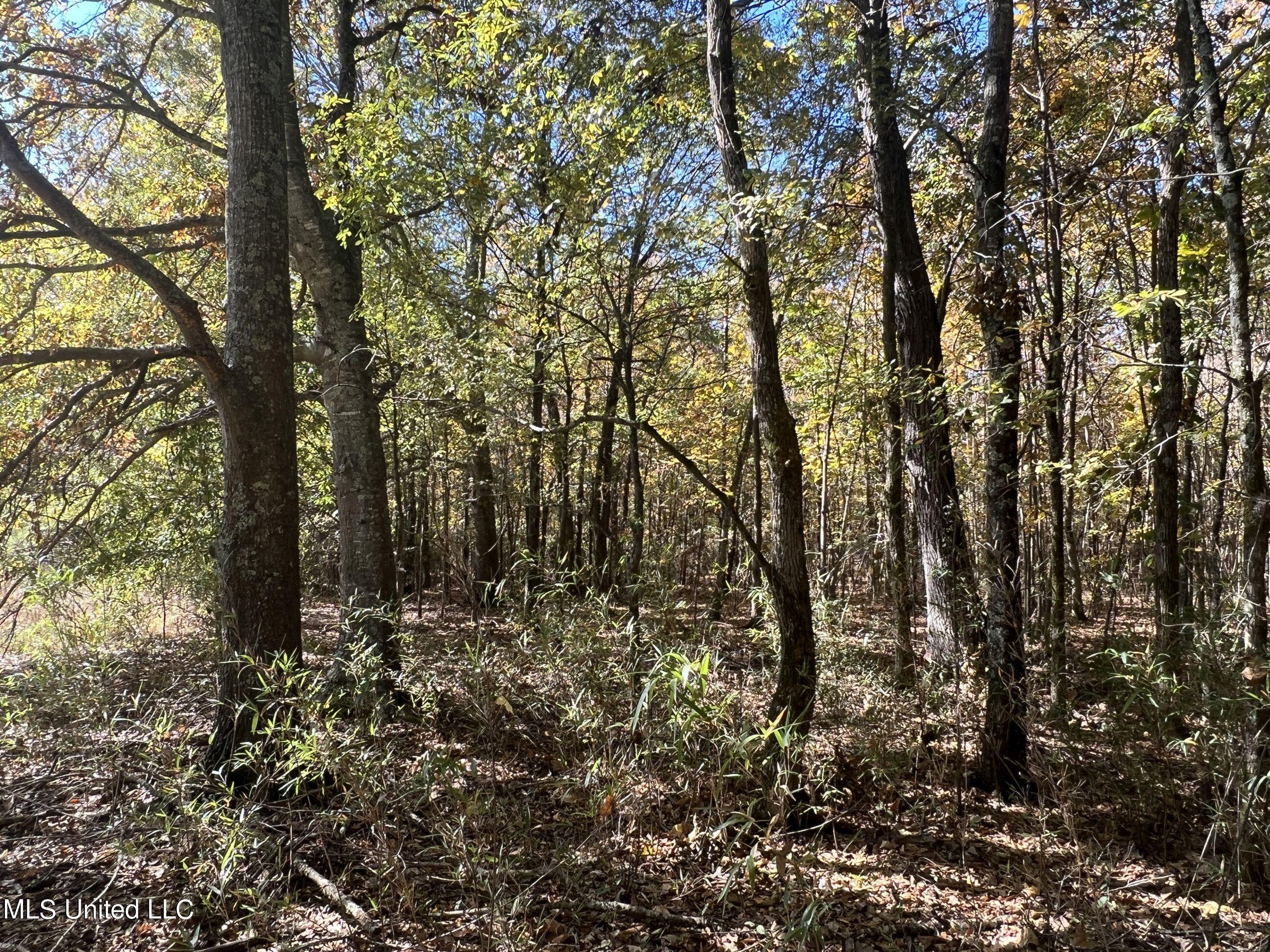 5151 Nash Road Batesville, MS 38606 - Photo 31 of 75 3irvi20