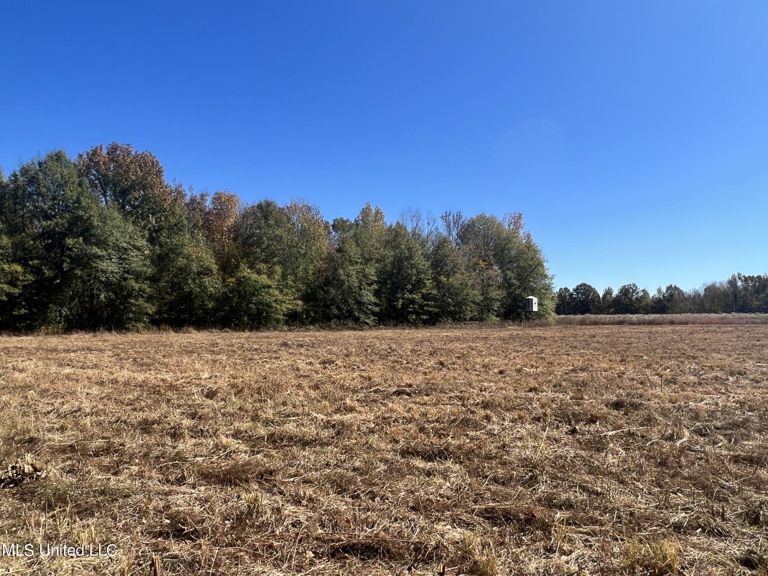 5151 Nash Road Batesville, MS 38606 - Photo 32 of 75 3irvi21