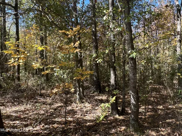 $285,000 | 5151 Nash Road, Batesville, MS 38606