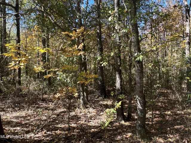 $285,000 | 5177 B Nash Road, Batesville, MS 38606