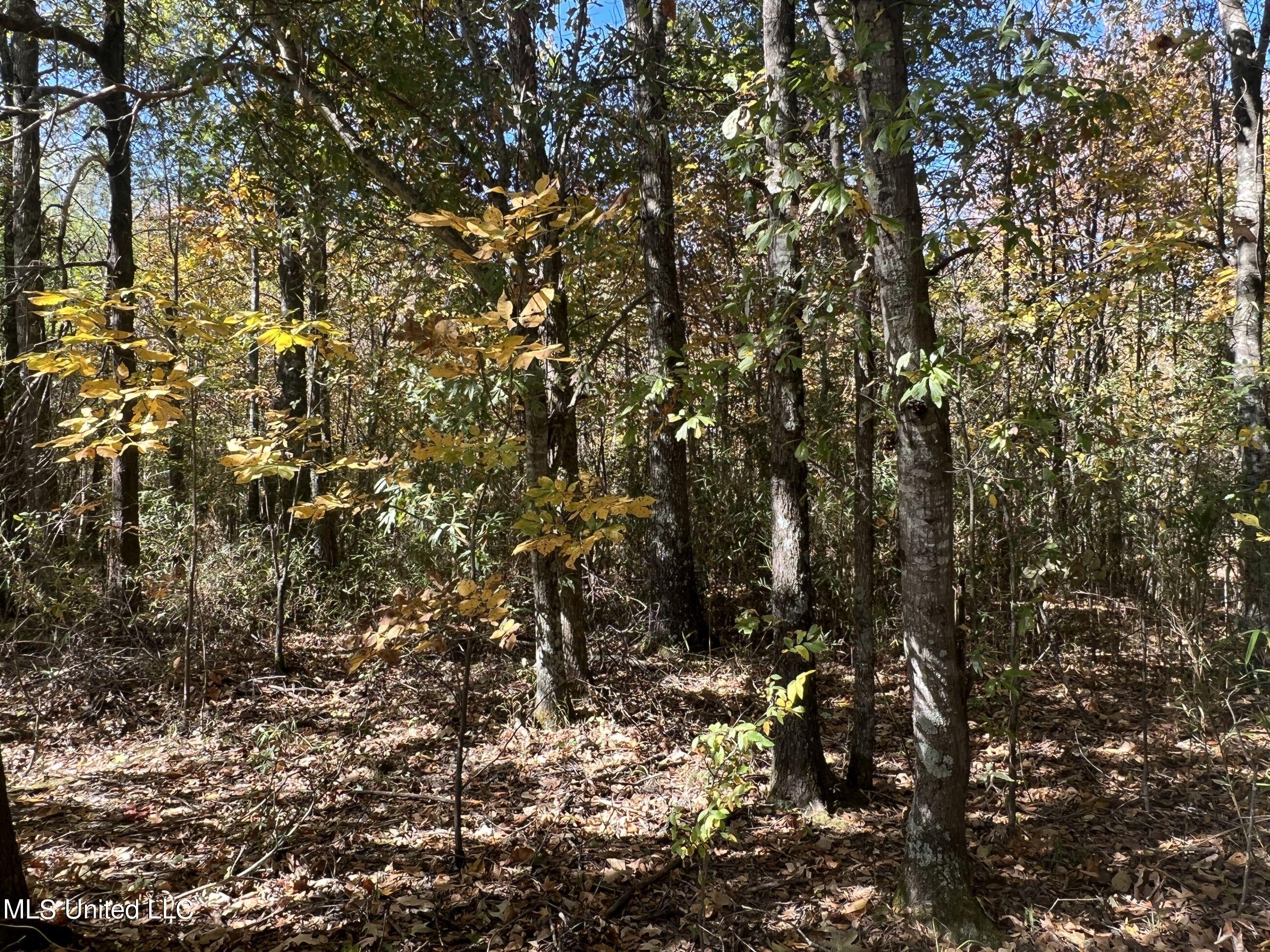 5151 Nash Road Batesville, MS 38606 - Photo 36 of 75 3irvi27