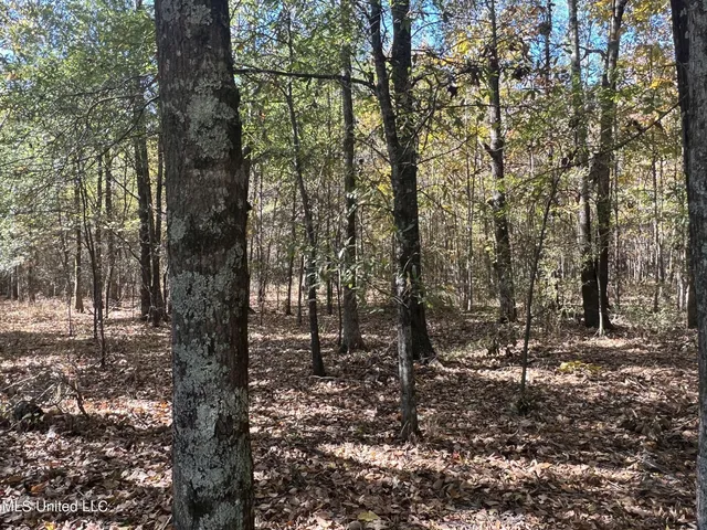 $285,000 | 5177 B Nash Road, Batesville, MS 38606