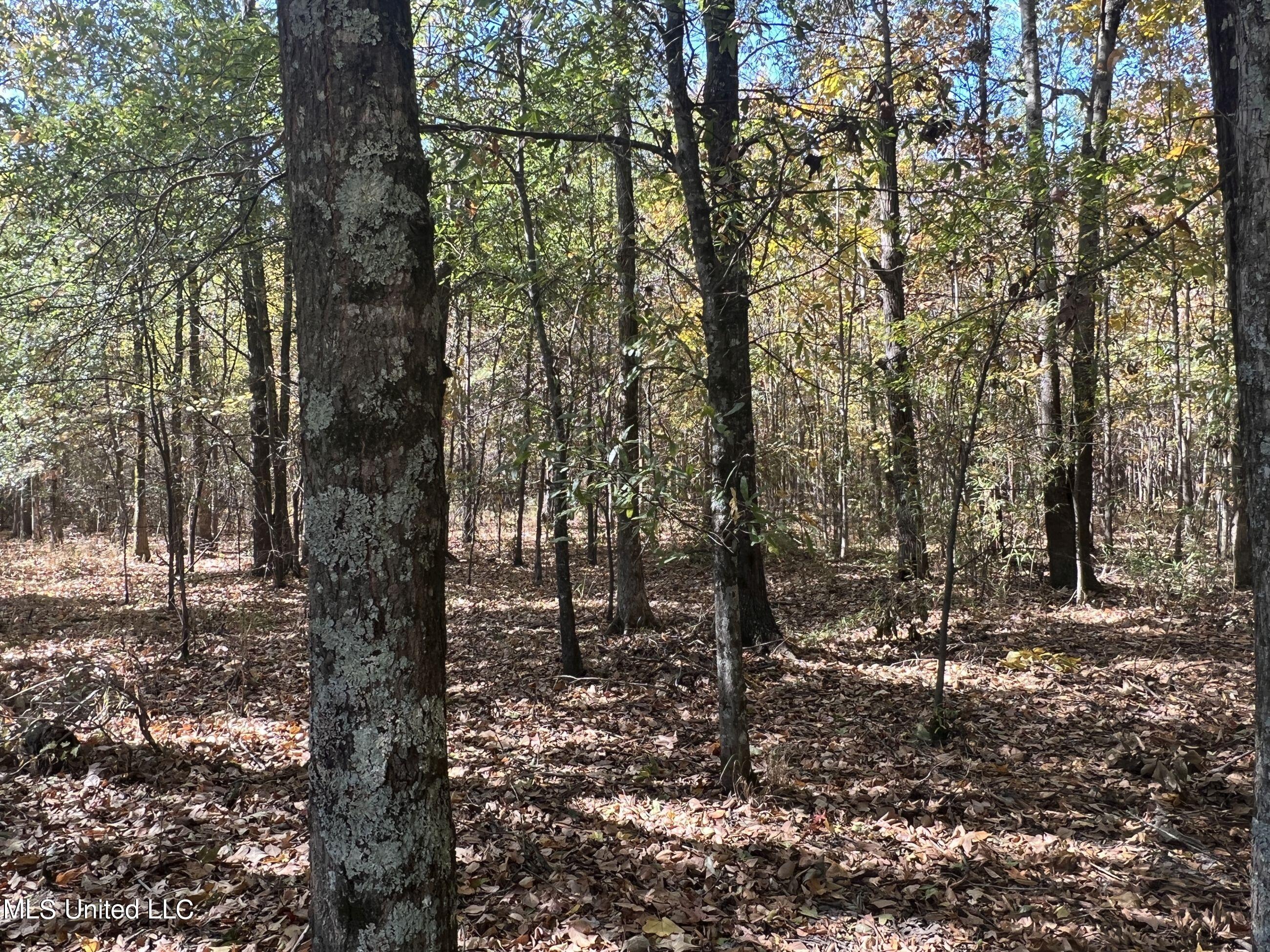 5151 Nash Road Batesville, MS 38606 - Photo 37 of 75 3irvi28