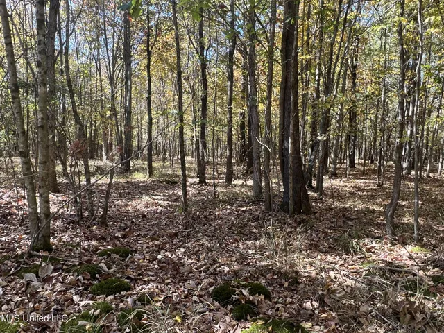 $285,000 | 5177 B Nash Road, Batesville, MS 38606