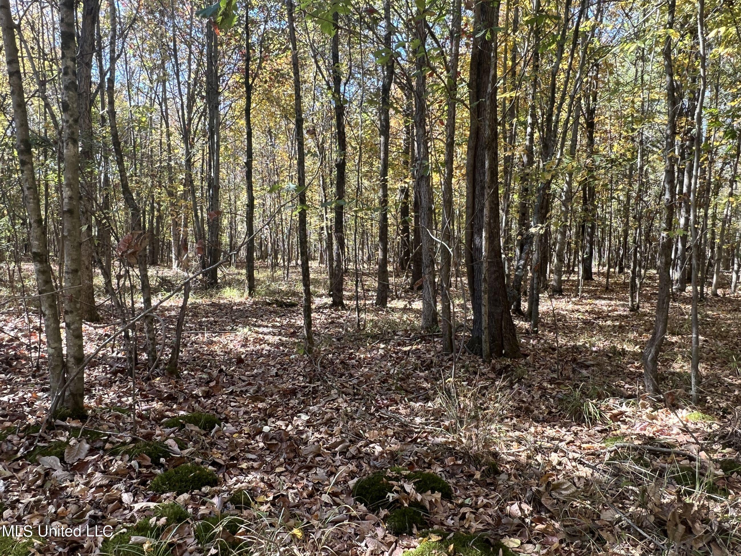 5151 Nash Road Batesville, MS 38606 - Photo 38 of 75 3irvi30