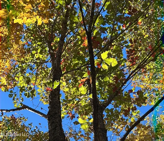 $285,000 | 5177 B Nash Road, Batesville, MS 38606