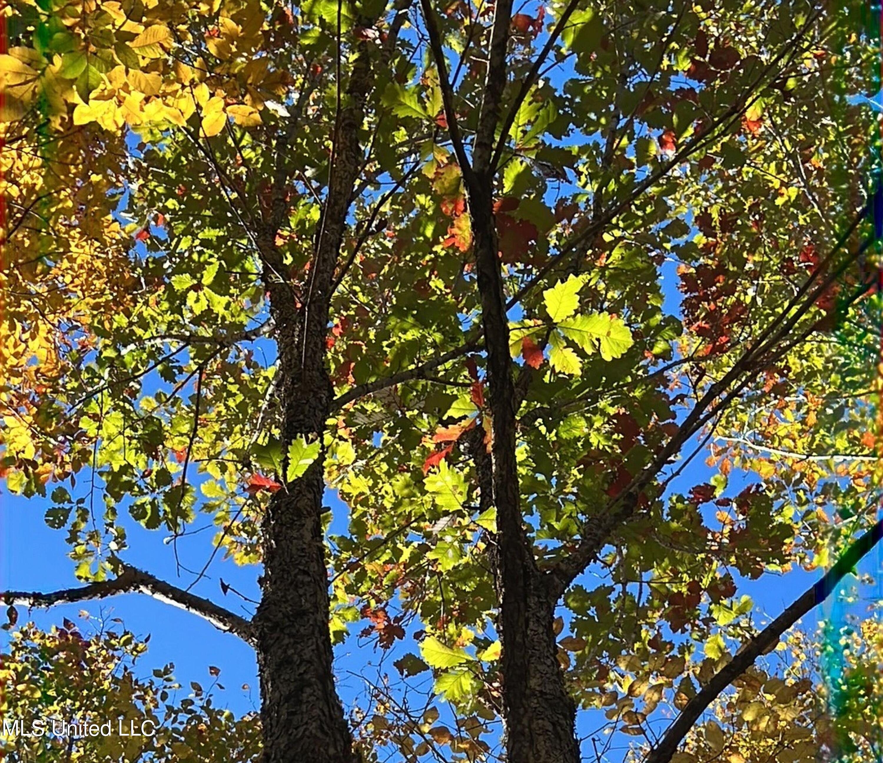 5151 Nash Road Batesville, MS 38606 - Photo 39 of 75 3irvi32