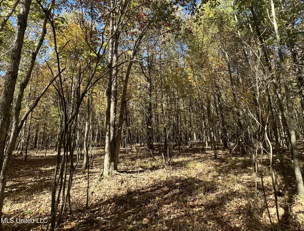$285,000 | 5151 Nash Road, Batesville, MS 38606