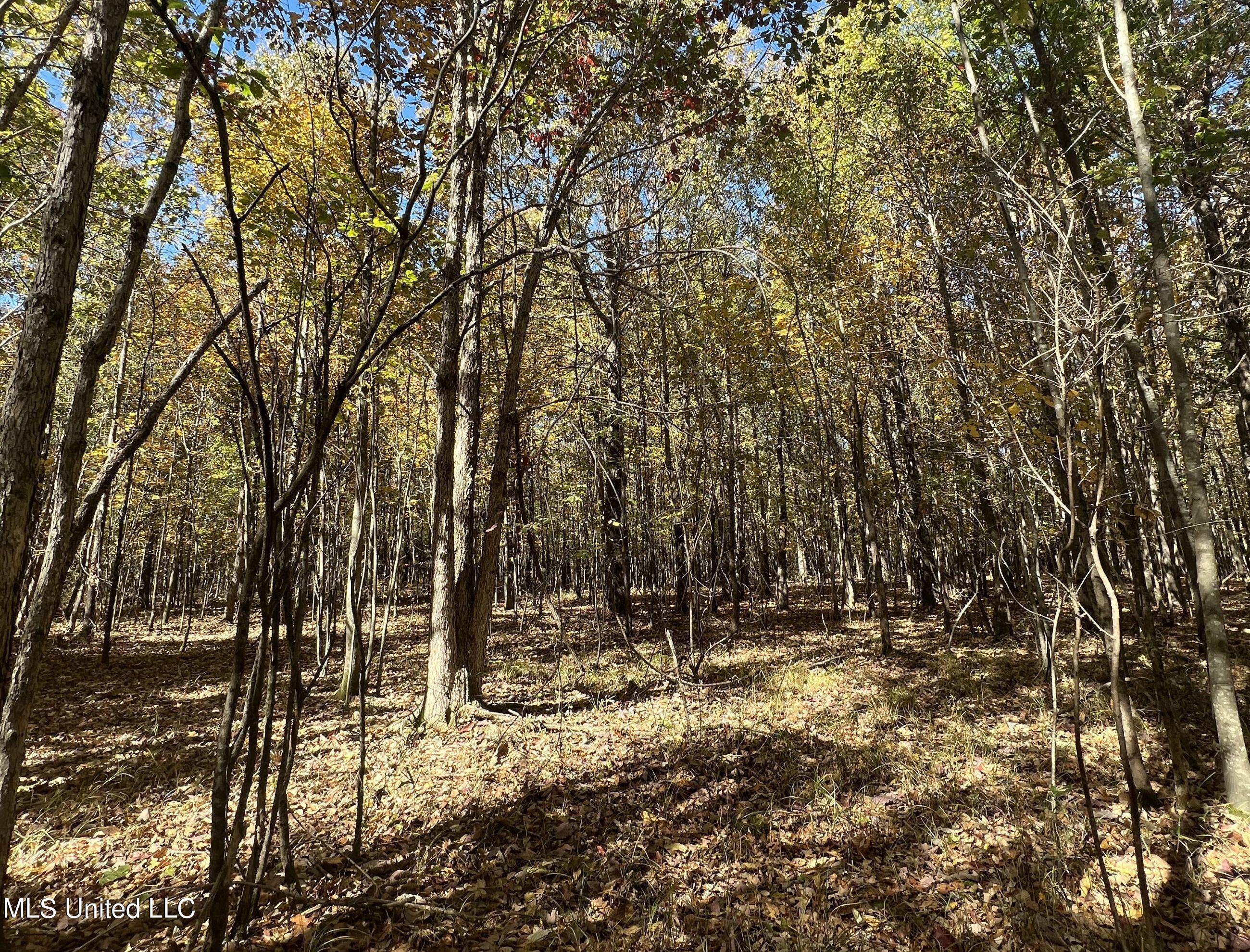 5151 Nash Road Batesville, MS 38606 - Photo 40 of 75 3irvi33