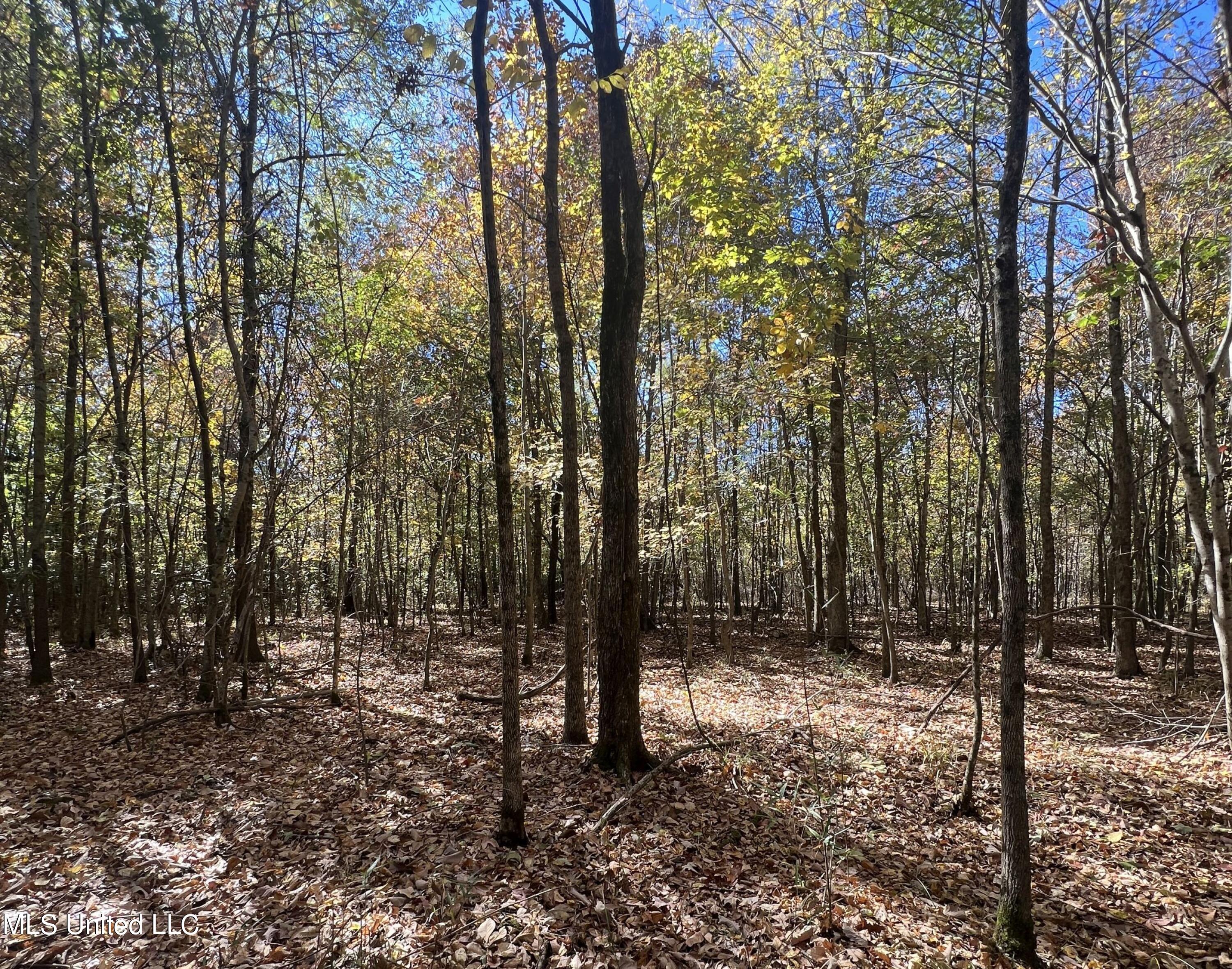 5151 Nash Road Batesville, MS 38606 - Photo 41 of 75 3irvi34